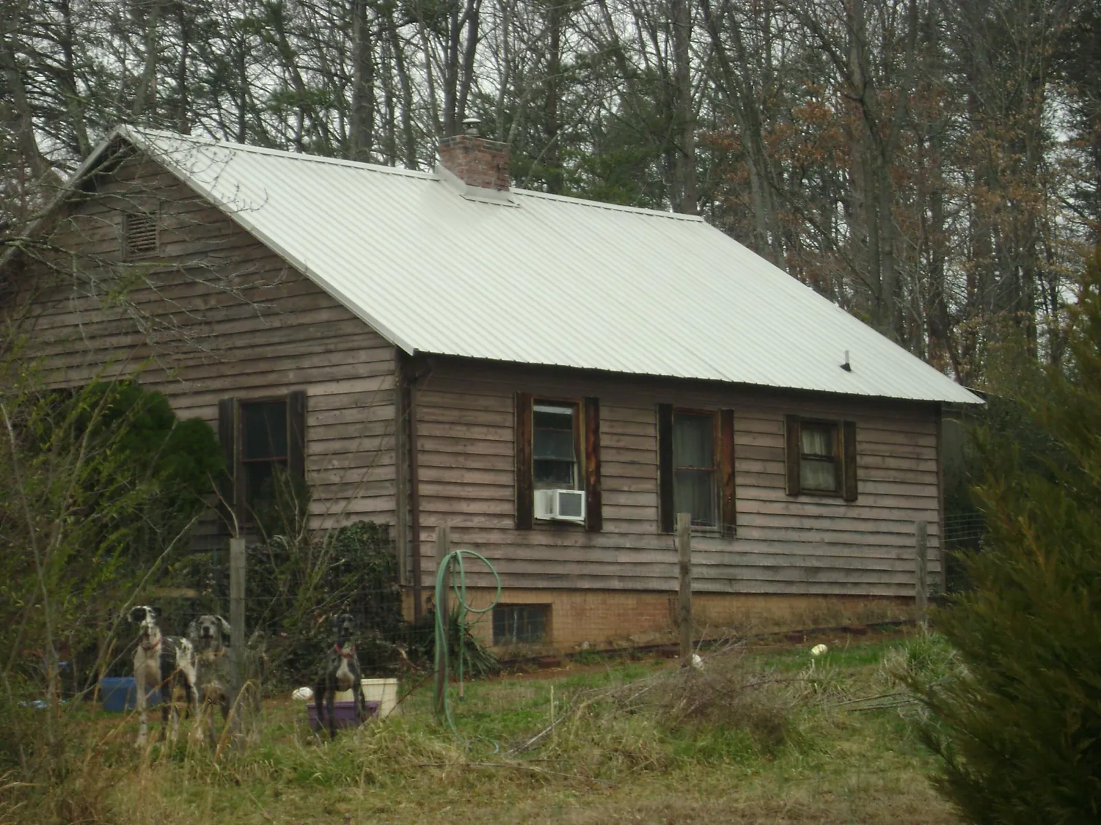 White metal roof on an old wood sided farmhouse, from a Asphalt Shingle Roof Repair job in Woodland